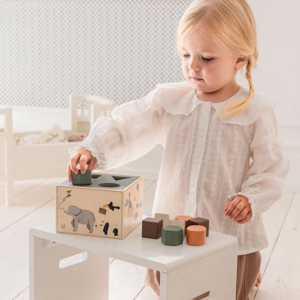 Formensteckspiel World of Sebra 5