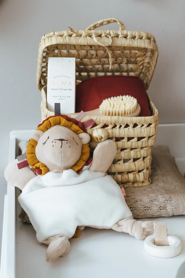 Aktivitätsspielzeug Löwe 2