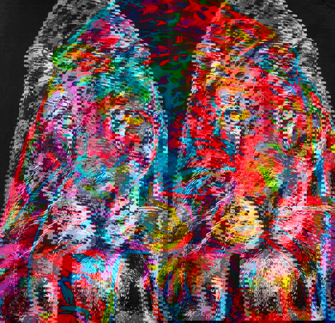 Bettwäsche P.D. Moreno Leopard 5