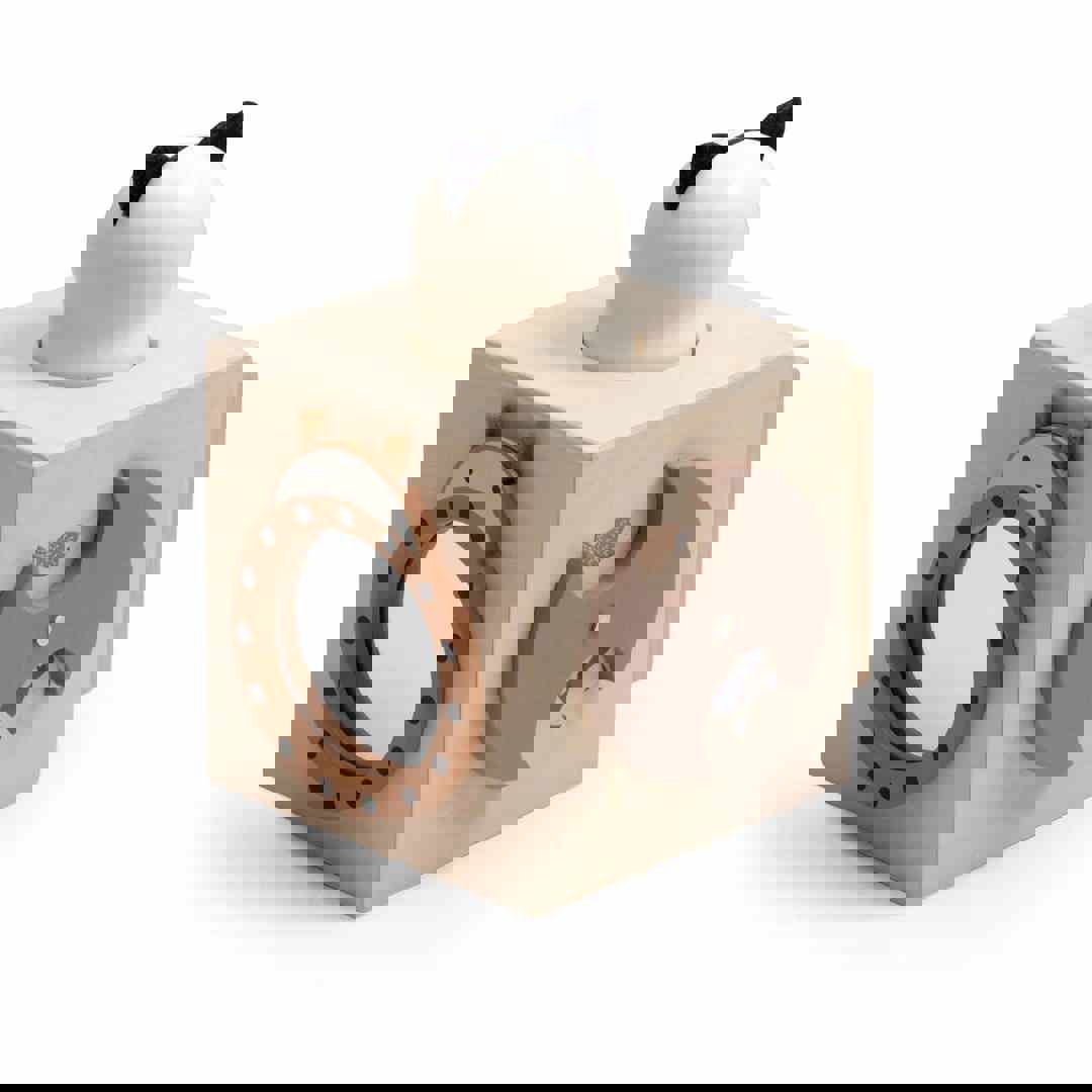 Entdeckerwürfel Woodland 5