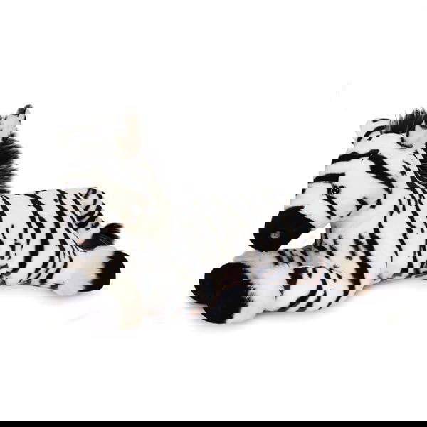 Zephir Zebra 35cm 3