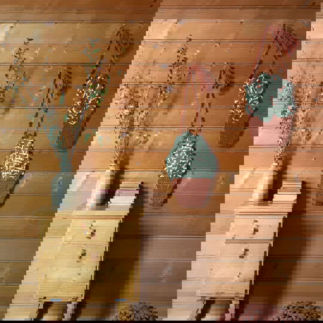 Wanddeko Little Aloe 2