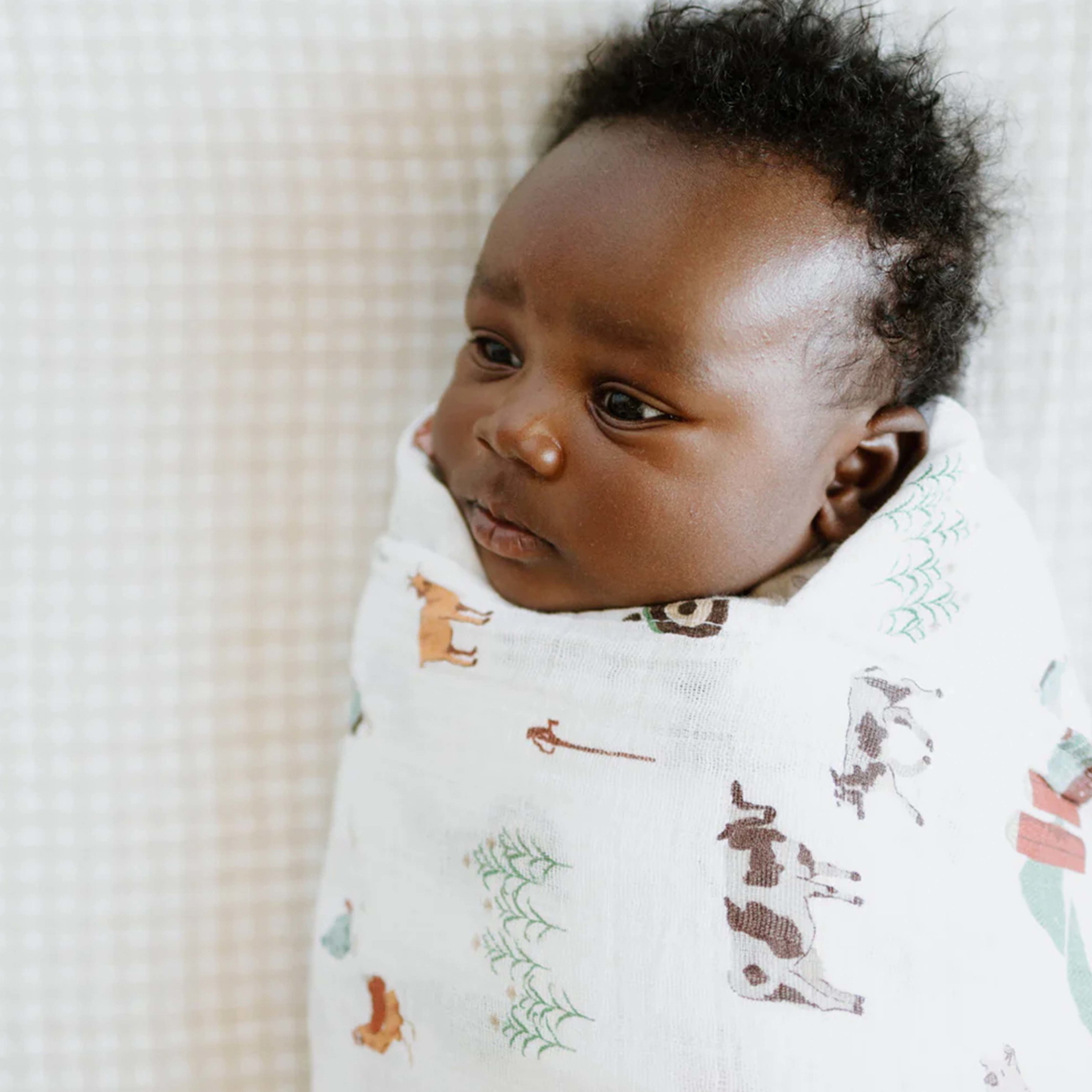 Pucktuch Farmyard #2