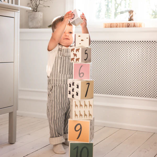 Stapelblöcke World of Sebra 4