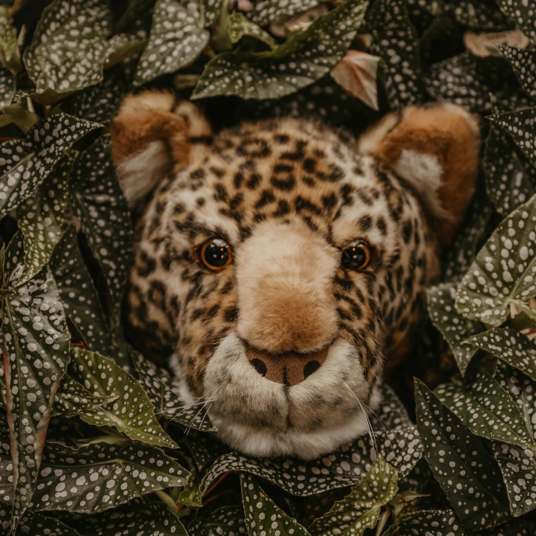 Tierkopf Leopard Charlie 2