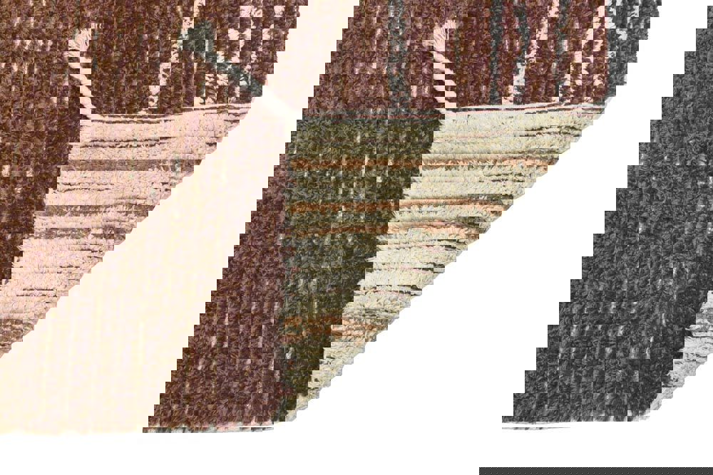 Wendeteppich Twin Toffee, XS 7