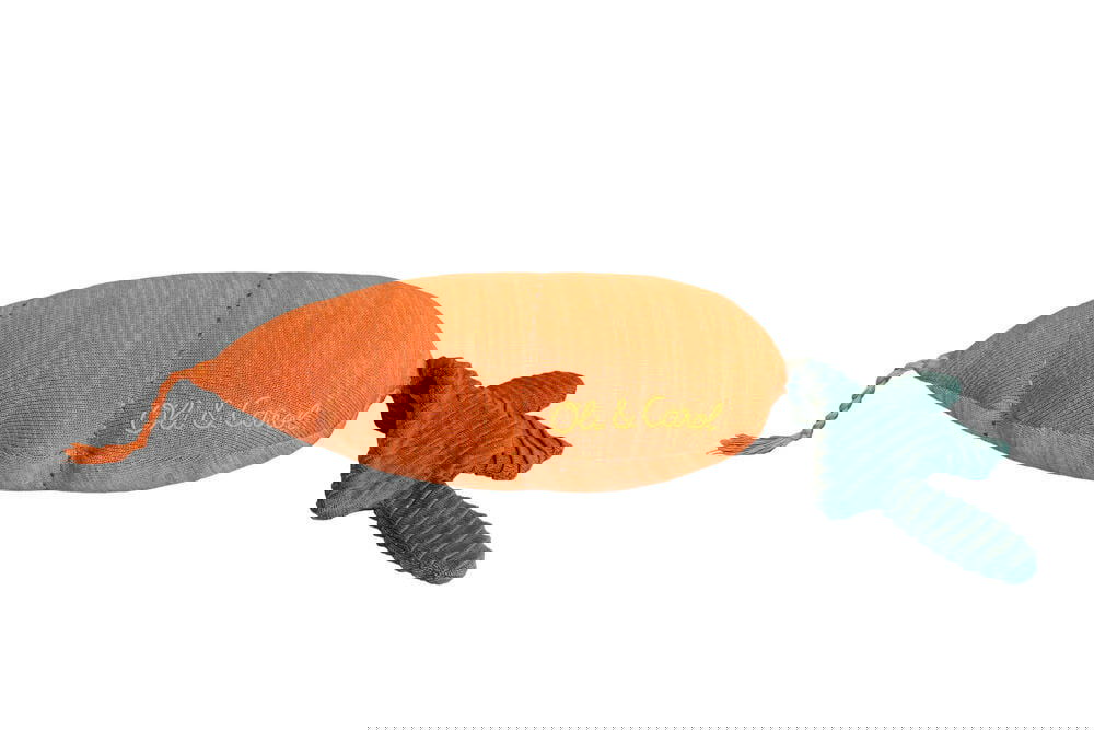 Dekokissen Cathy die Karotte 8