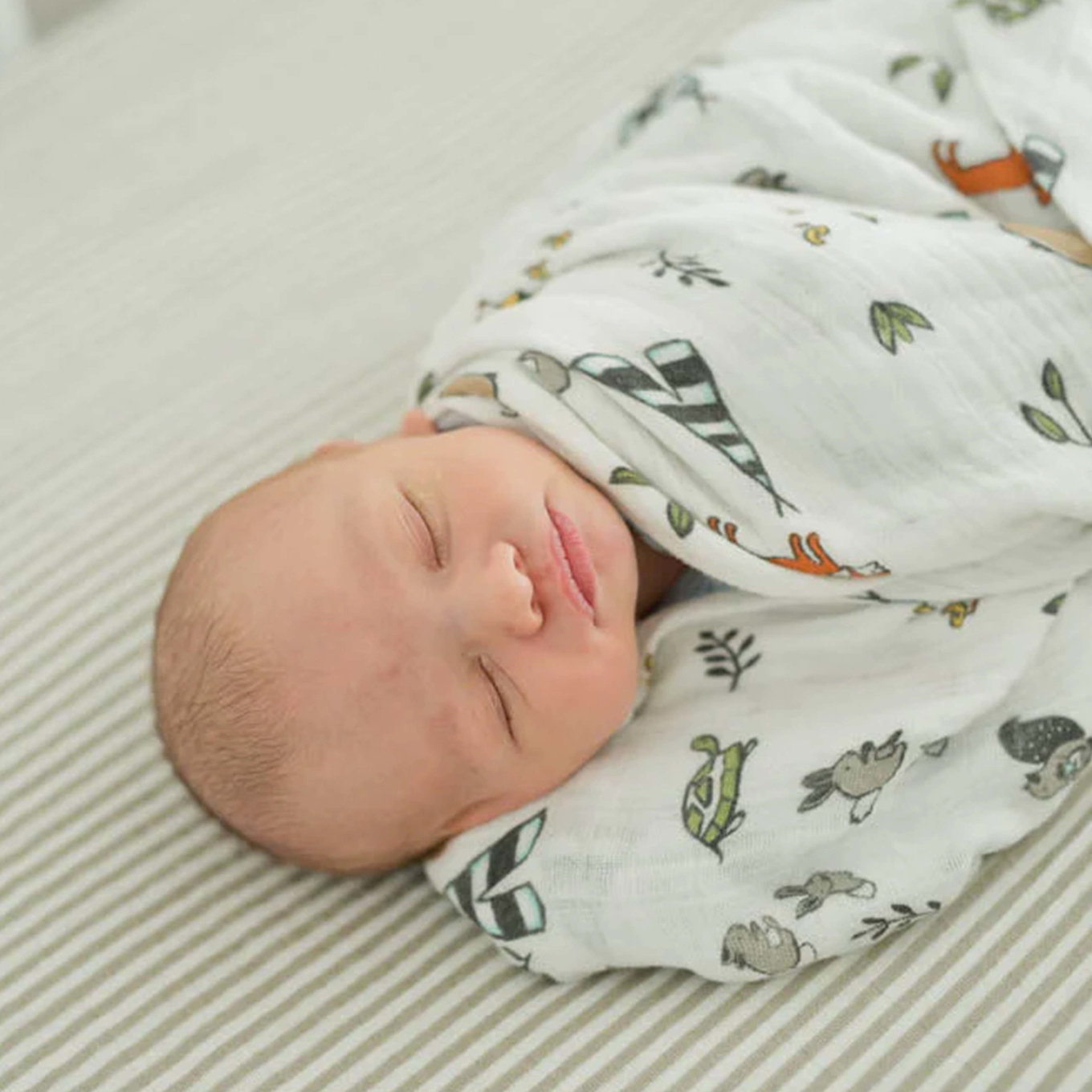 Pucktuch Forest Friends 2