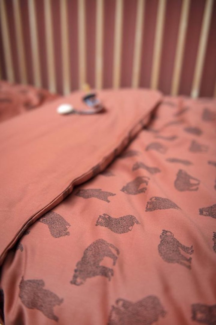 Baby Bettwäsche Brave Bear 4