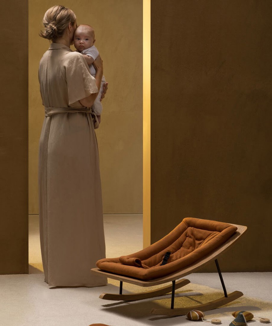 Babywippe Rocking Bouncer Terra 4