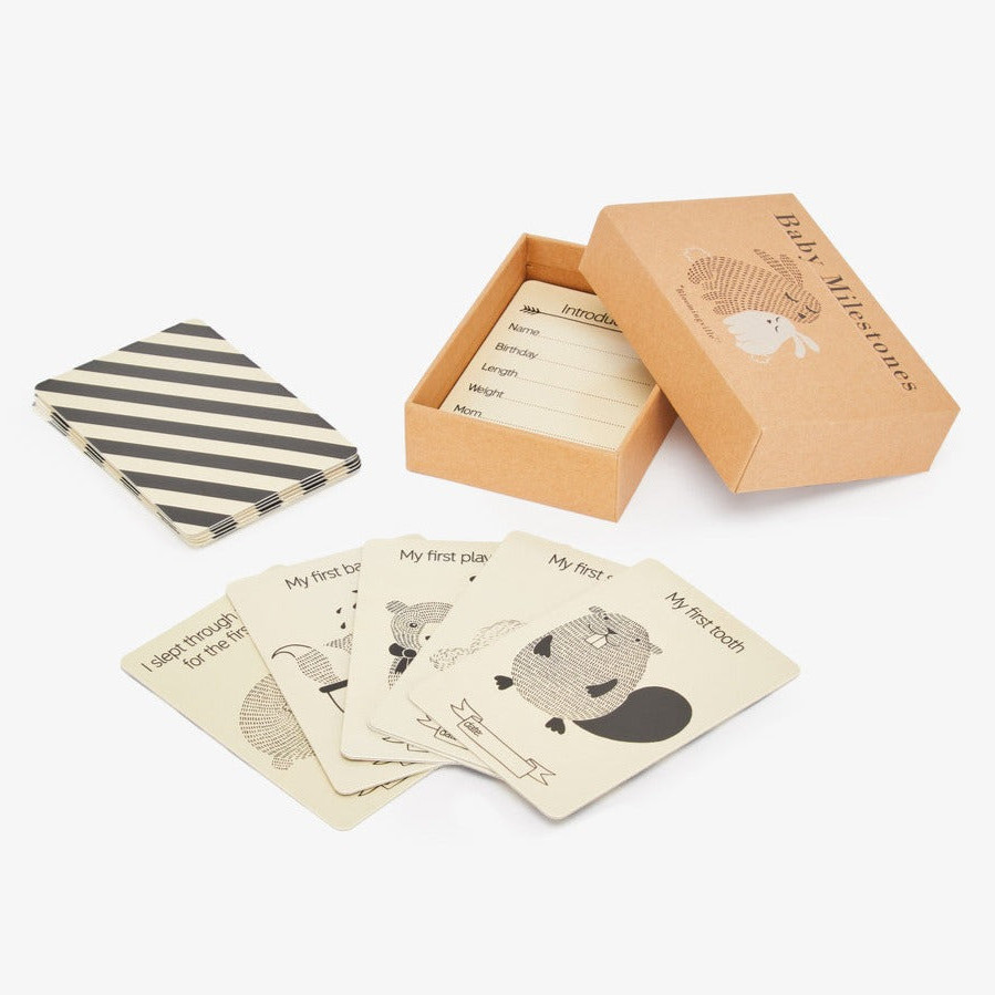 Meilensteinkarten Paper Nature #2