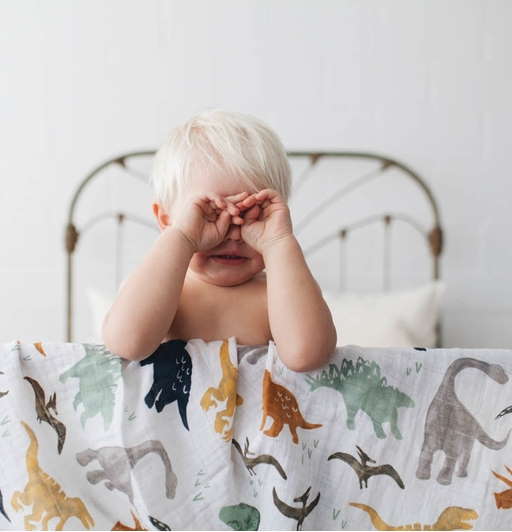 Pucktücher Dino Friends II 3er-Set 4