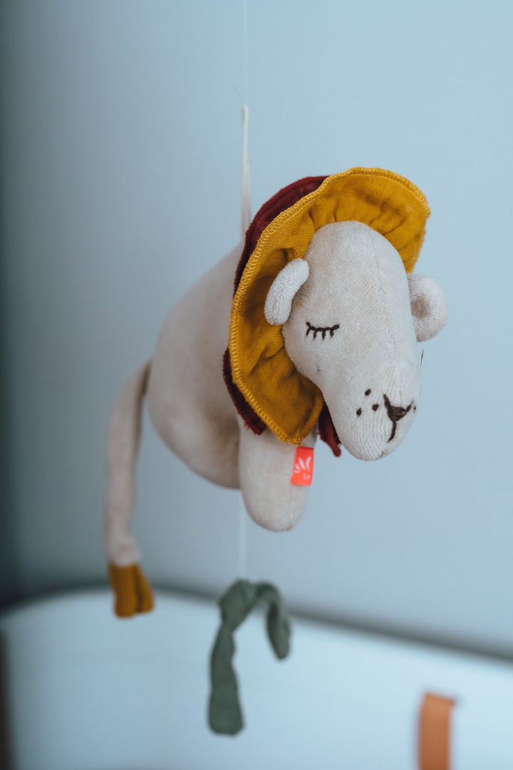 Kleine Spieluhr Löwe 3