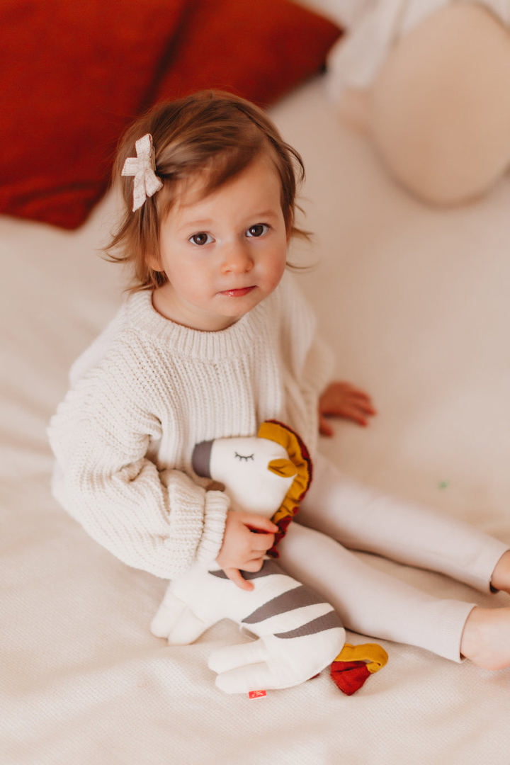 Spieluhr Kikadu Zebra 5