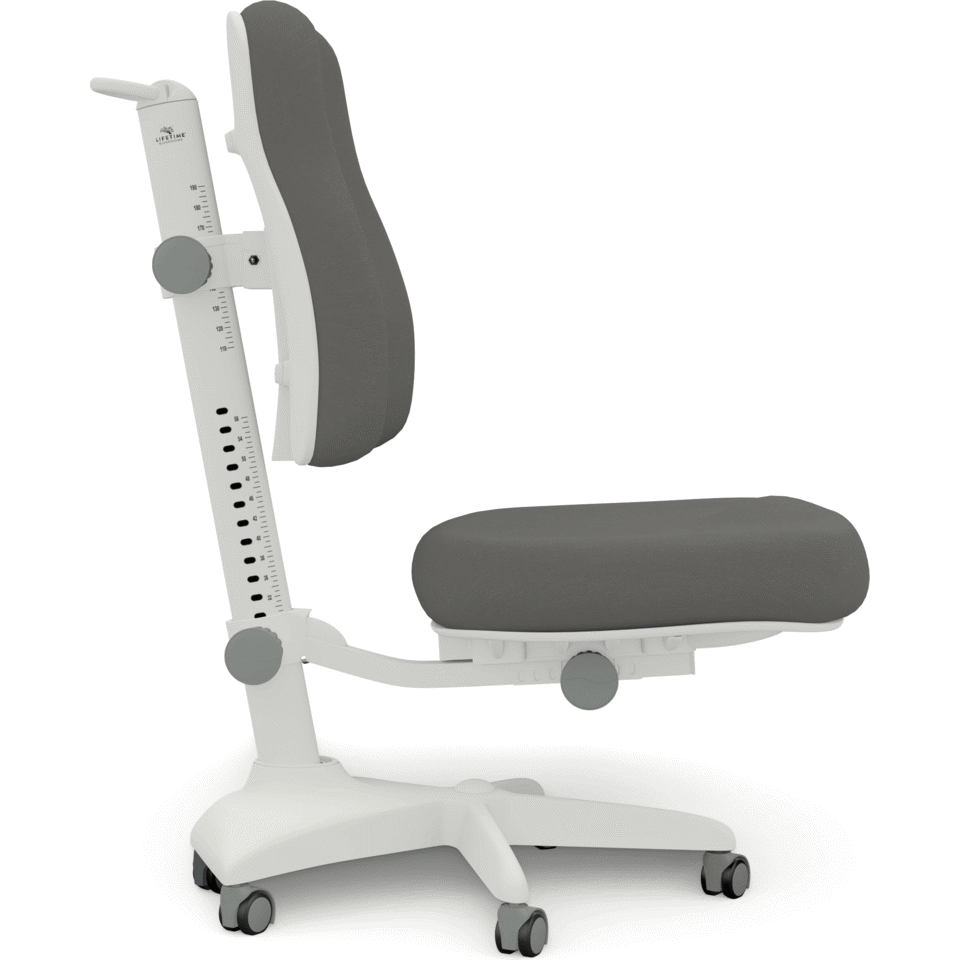 Bürostuhl Modell Ergo Hellgrau 3