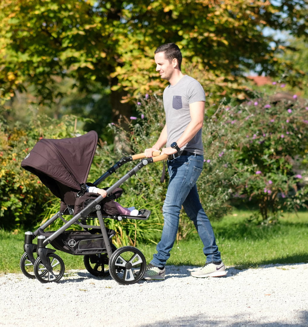 Kinderwagen Lux Evo mit HB Panther 2