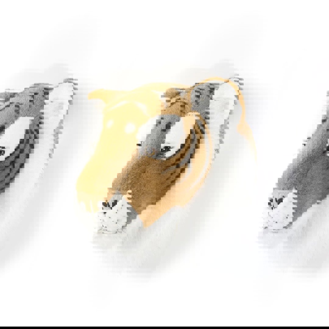 Tierkopf Tiger Felix 3