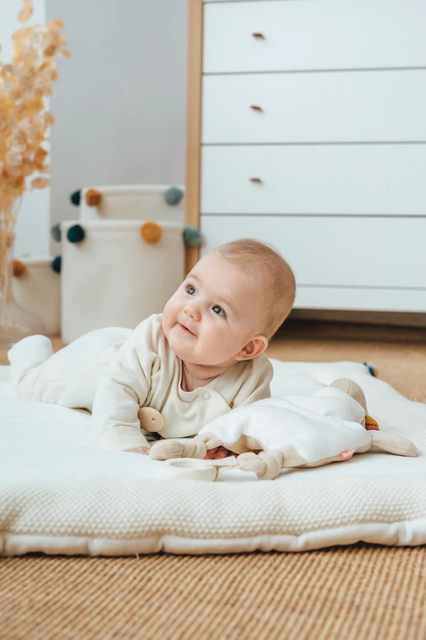 Aktivitätsspielzeug Löwe 5