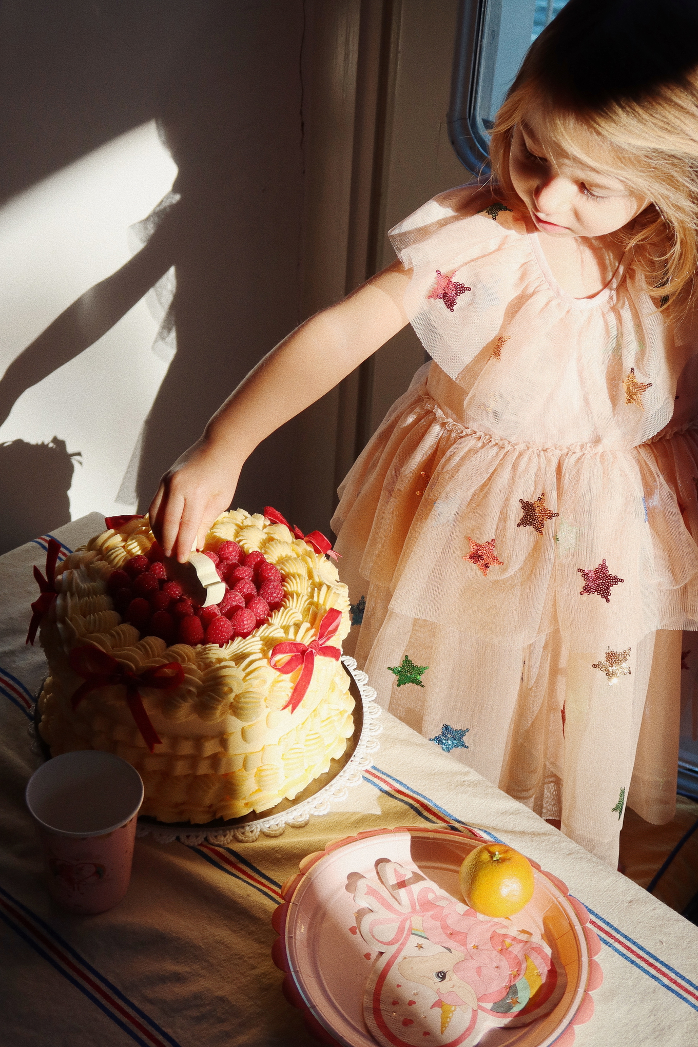 Geburtstags Set Einhorn FSC 5