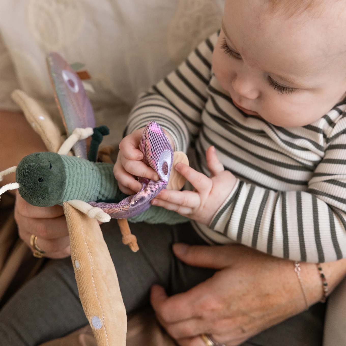 Aktivitätsspielzeug Libelle 3