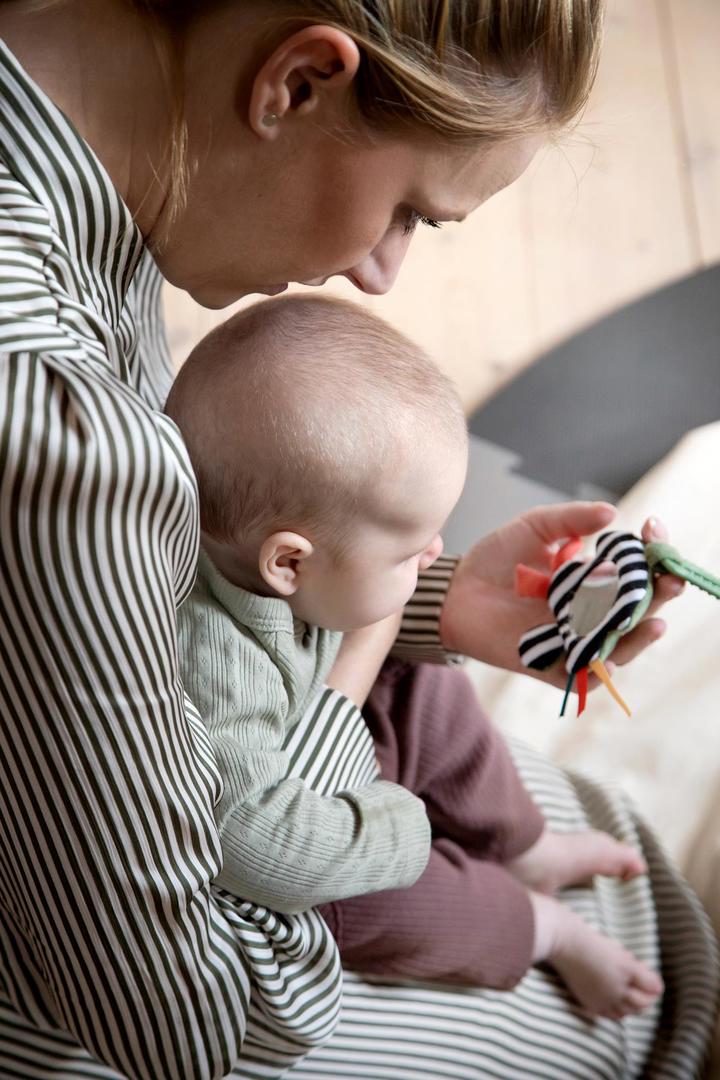 Aktivitätsrassel Mini Kontrast 3