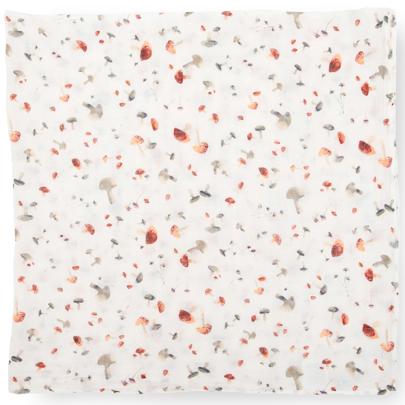 Pucktuch Mushrooms 8