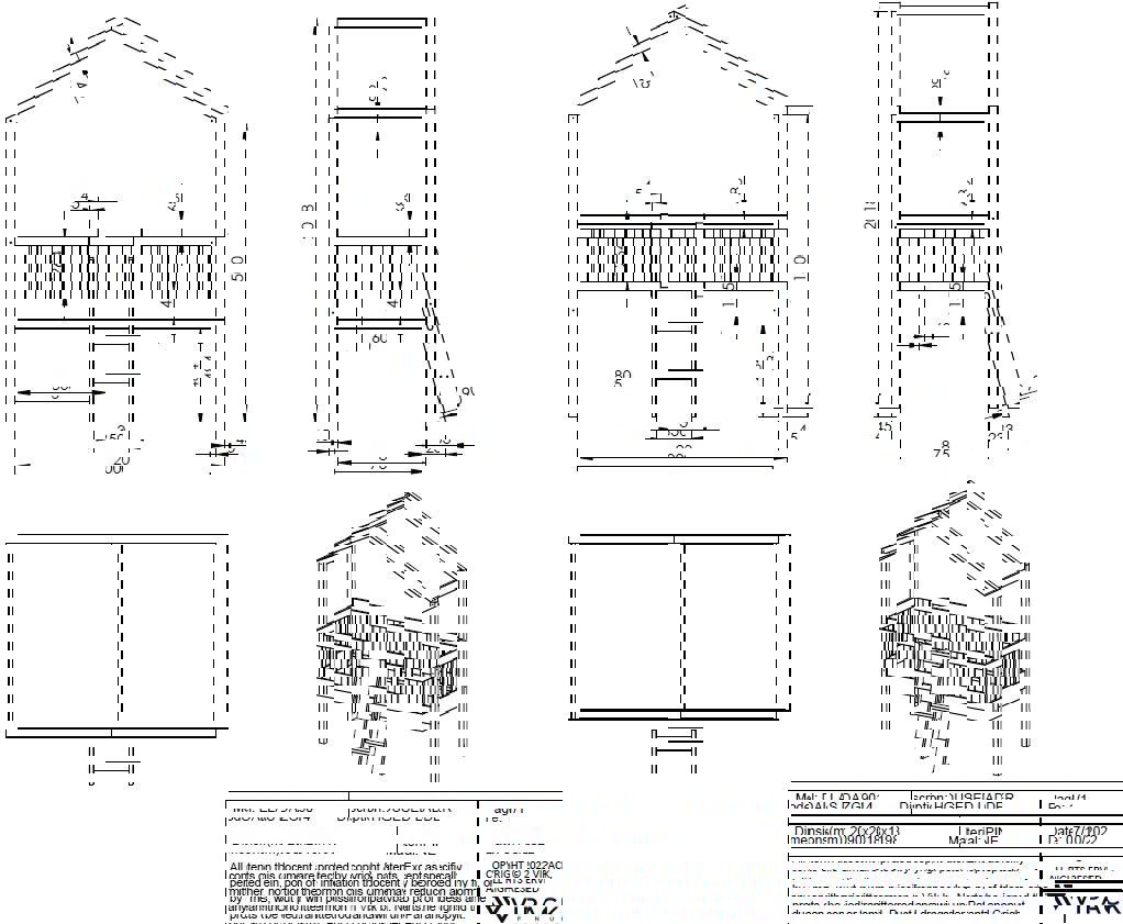 Hausbett Dallas mit Leiter Weiss 4